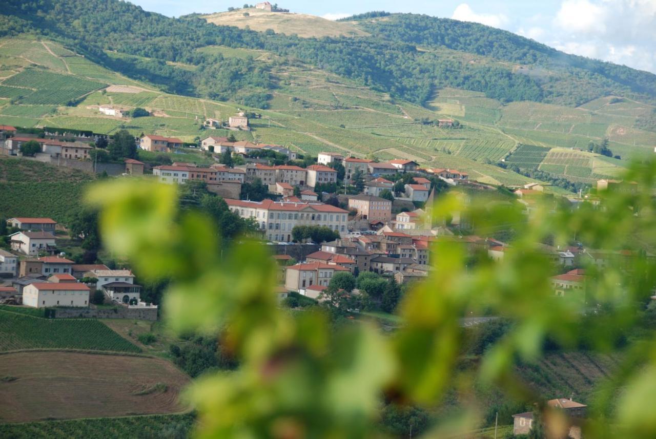 Domaine Des Gardette Hotel Vaux-en-Beaujolais Екстериор снимка